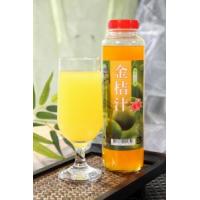 埔里鎮農會(埔里農會) 金桔汁600g*12瓶