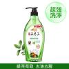 古寶無患子 蔬果碗盤洗潔液-綠茶萃取(綠色瓶裝)-1000g